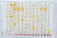 Positive Chlamydia PCR tests